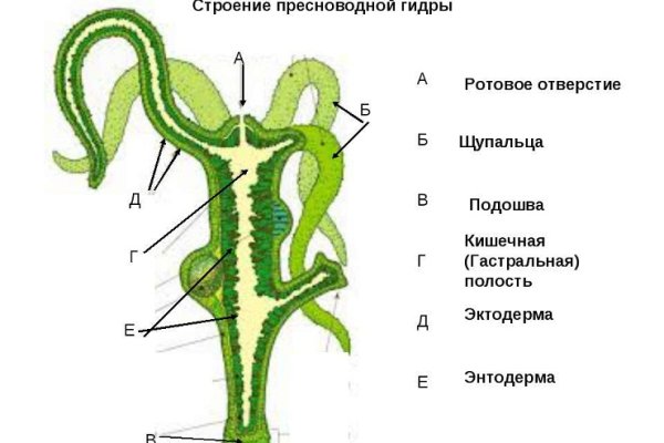 Кракен не работает сайт