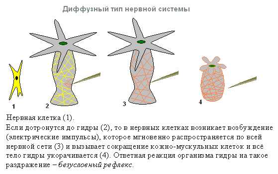 Как пополнить баланс на кракене